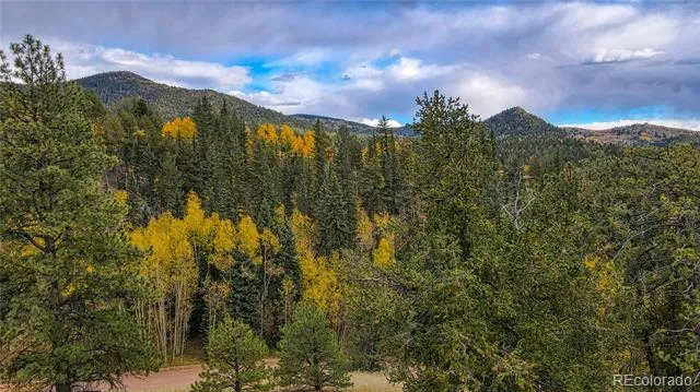65 Portland Drive Cripple Creek, CO 80813