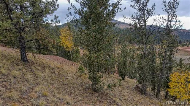 65 Portland Drive Cripple Creek, CO 80813