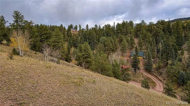 65 Portland Drive Cripple Creek, CO 80813