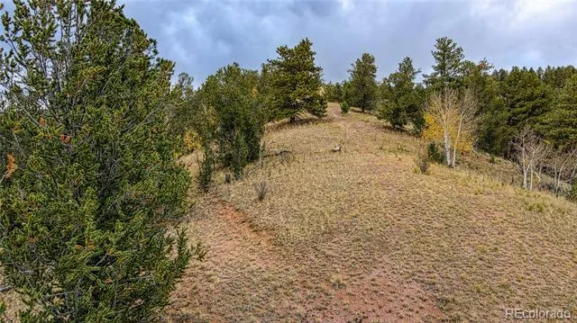 65 Portland Drive Cripple Creek, CO 80813