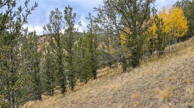 65 Portland Drive Cripple Creek, CO 80813
