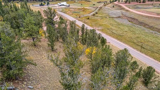 65 Portland Drive Cripple Creek, CO 80813