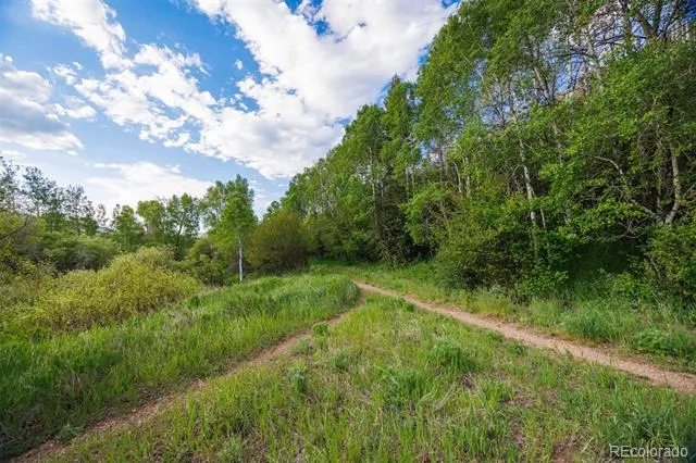22090 County Road 212 Oak Creek, CO 80467