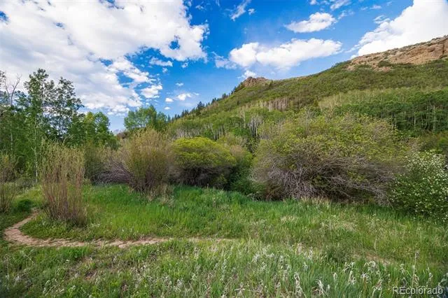 22090 County Road 212 Oak Creek, CO 80467