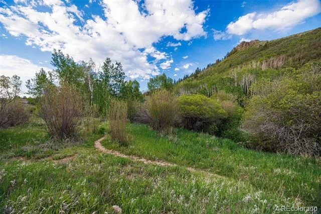 22090 County Road 212 Oak Creek, CO 80467