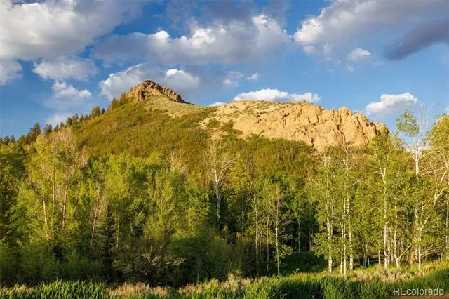 22090 County Road 212 Oak Creek, CO 80467