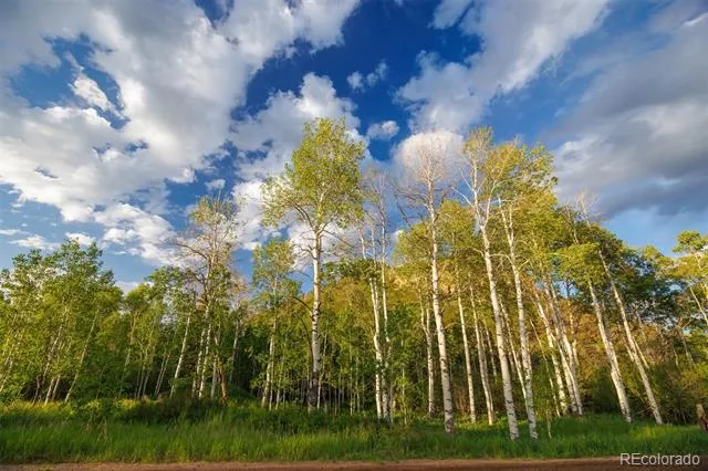 22090 County Road 212 Oak Creek, CO 80467