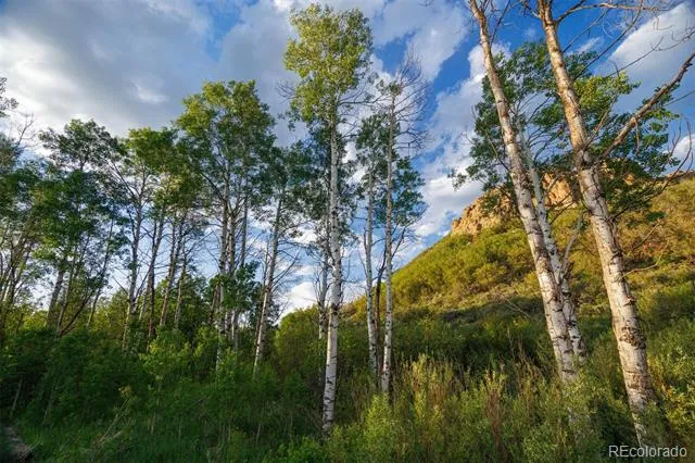 22090 County Road 212 Oak Creek, CO 80467