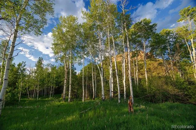 22090 County Road 212 Oak Creek, CO 80467