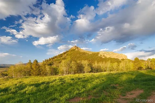 22090 County Road 212 Oak Creek, CO 80467