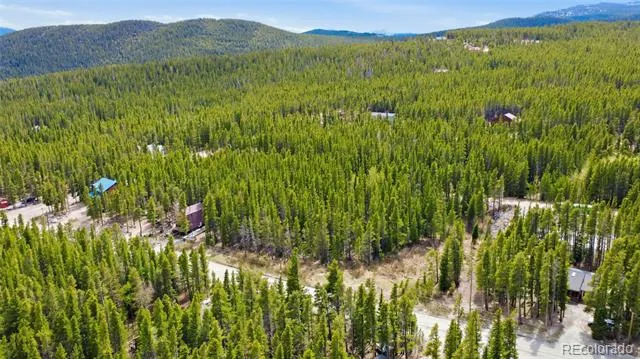 Silver Creek Road Idaho Springs, CO 80452