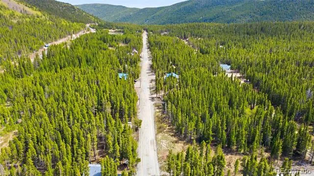 Silver Creek Road Idaho Springs, CO 80452