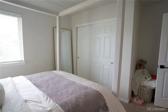 6673 Ceylon Street Denver, CO 80249