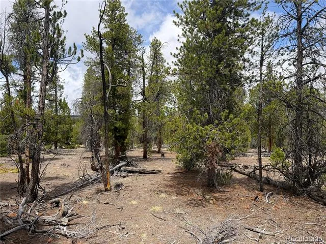341 Lodgepole Drive Leadville, CO 80461