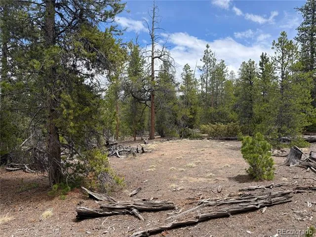 341 Lodgepole Drive Leadville, CO 80461