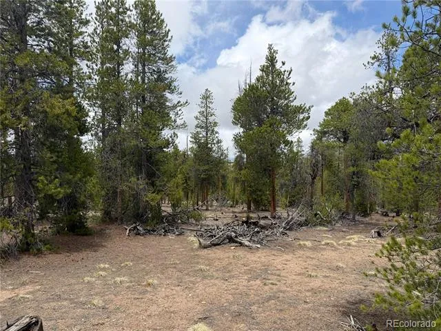 341 Lodgepole Drive Leadville, CO 80461