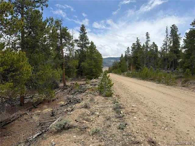 341 Lodgepole Drive Leadville, CO 80461