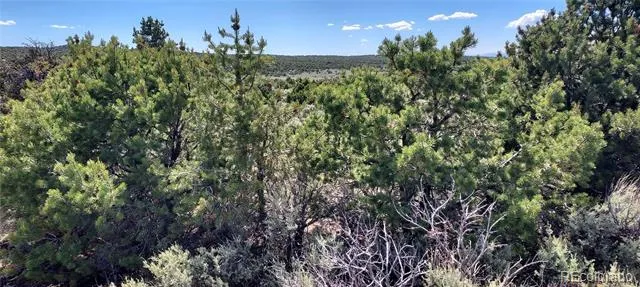 Address Not Shown San Luis, CO 81152