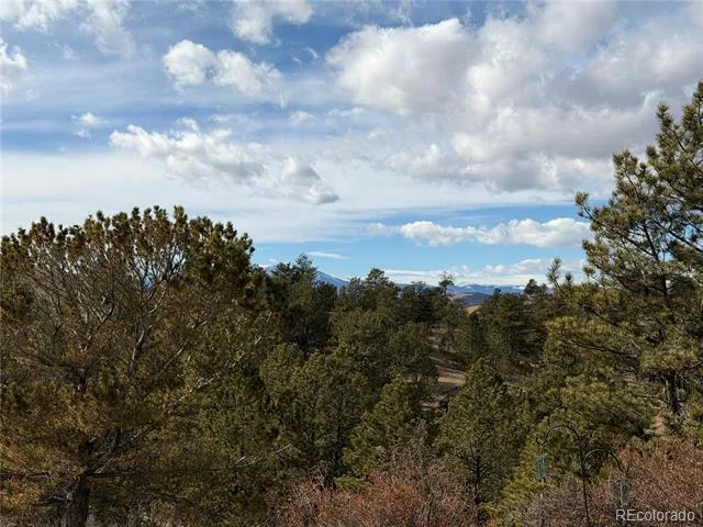 587 Willow Street Hartsel, CO 80449