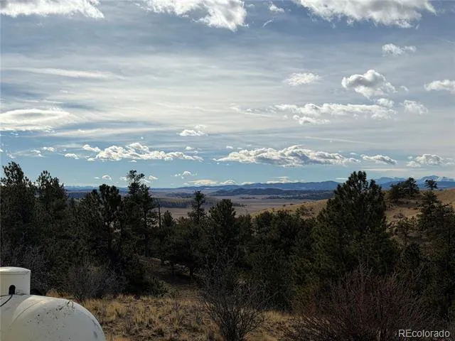587 Willow Street Hartsel, CO 80449