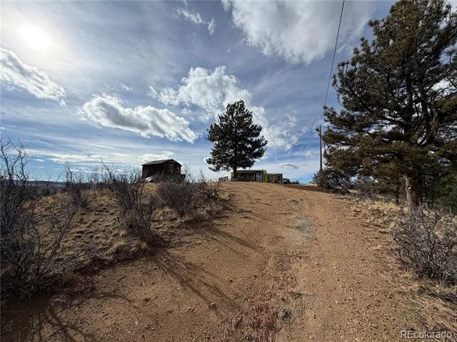 587 Willow Street Hartsel, CO 80449