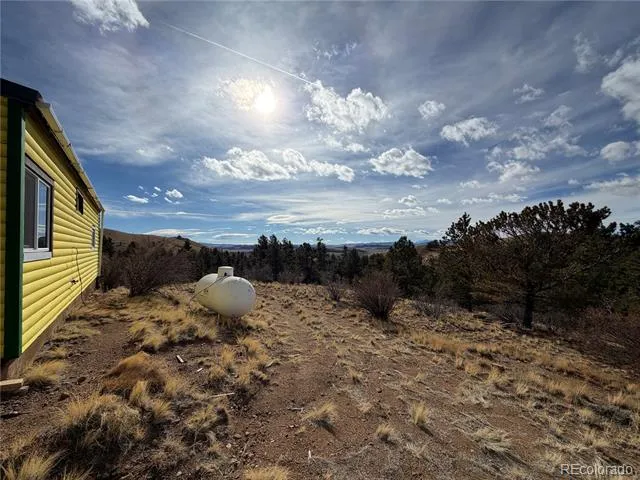 587 Willow Street Hartsel, CO 80449