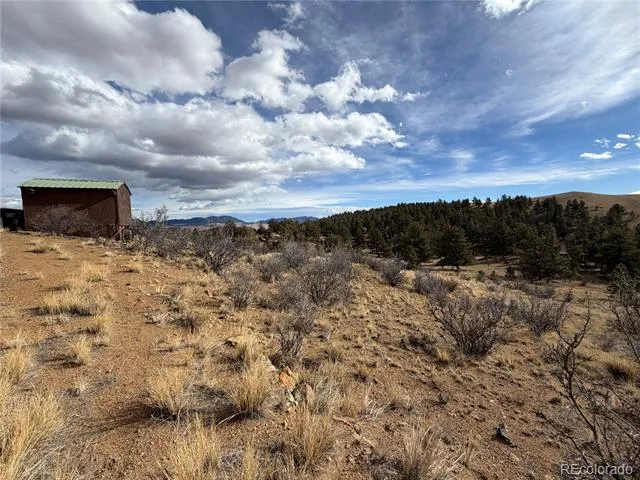 587 Willow Street Hartsel, CO 80449