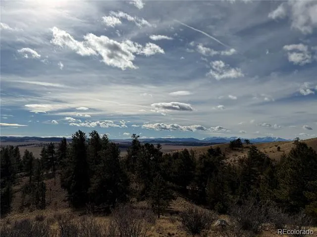 587 Willow Street Hartsel, CO 80449