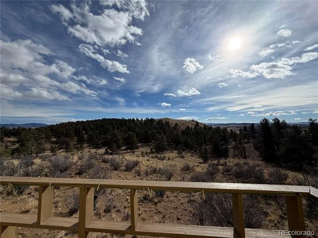 587 Willow Street Hartsel, CO 80449