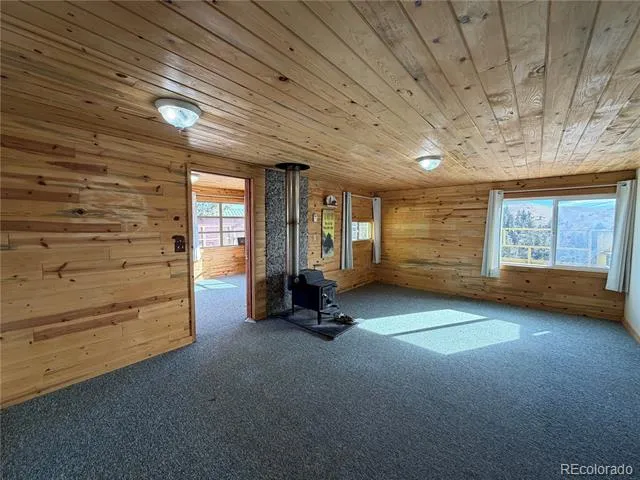 587 Willow Street Hartsel, CO 80449