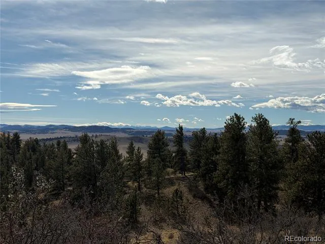587 Willow Street Hartsel, CO 80449