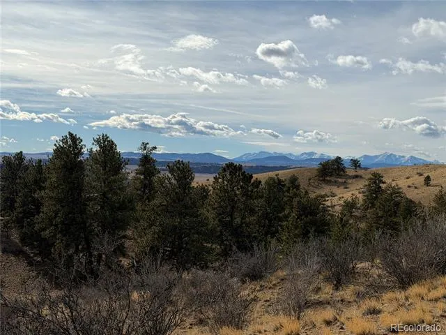 587 Willow Street Hartsel, CO 80449