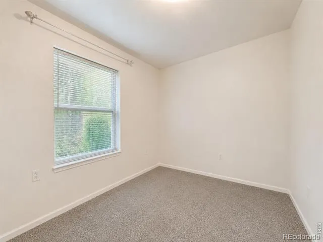 804 Sunchase Drive Fort Collins, CO 80524