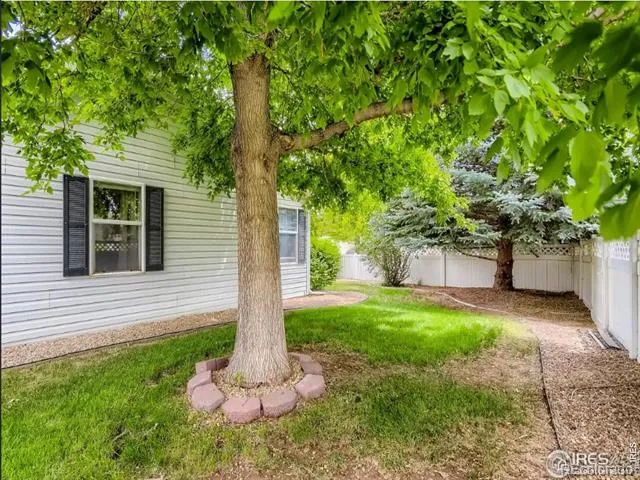 804 Sunchase Drive Fort Collins, CO 80524