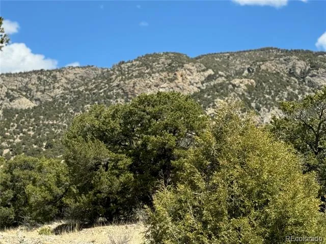 00103 Ute Drive Mosca, CO 81146