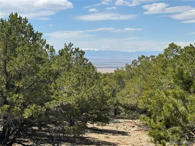 00103 Ute Drive Mosca, CO 81146