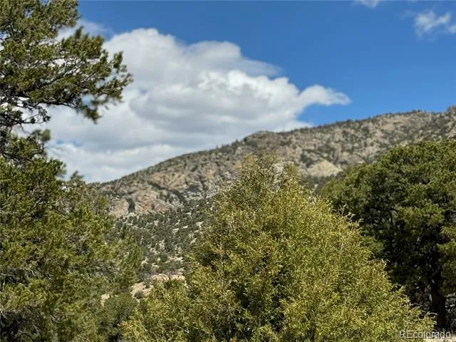 00103 Ute Drive Mosca, CO 81146