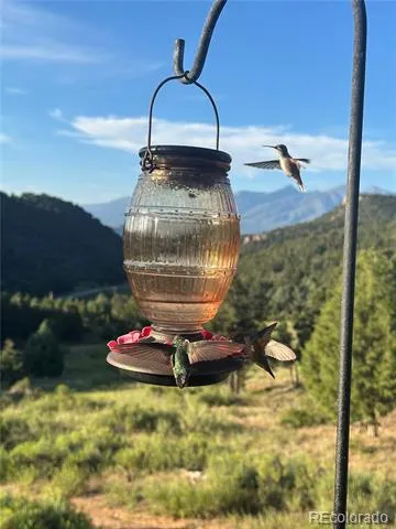 4351 County Road 12 Cotopaxi, CO 81223