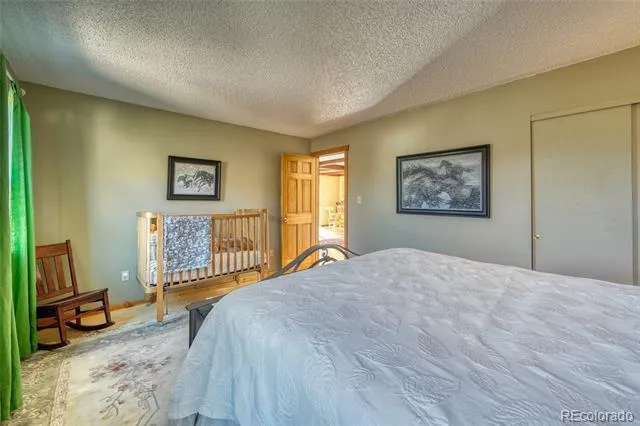 4351 County Road 12 Cotopaxi, CO 81223