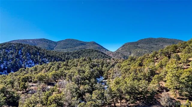 4351 County Road 12 Cotopaxi, CO 81223