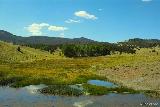 State 9 Highway Guffey, CO 80820