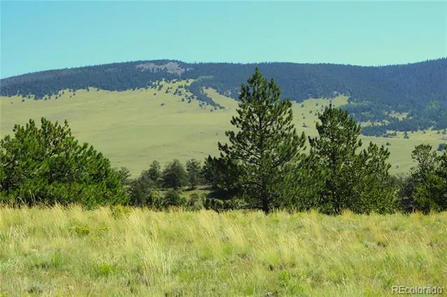 State 9 Highway Guffey, CO 80820