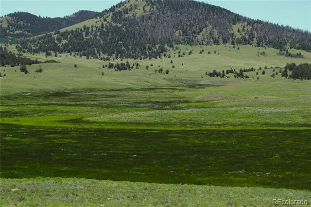 State 9 Highway Guffey, CO 80820