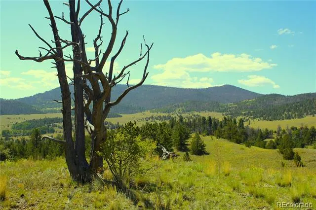State 9 Highway Guffey, CO 80820