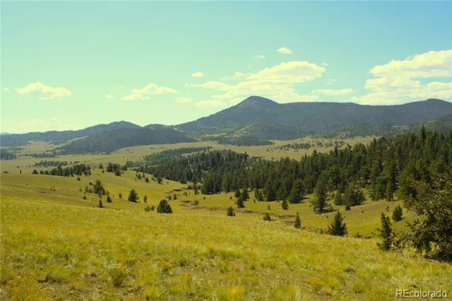 State 9 Highway Guffey, CO 80820