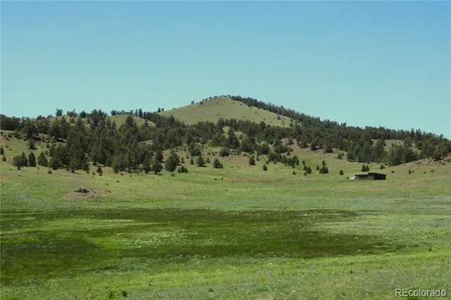 State 9 Highway Guffey, CO 80820