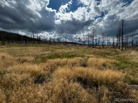442 Forbes Park Road Fort Garland, CO 81133