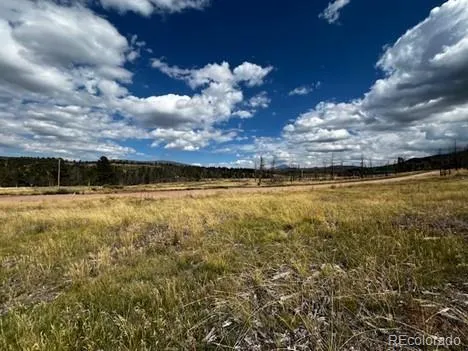442 Forbes Park Road Fort Garland, CO 81133