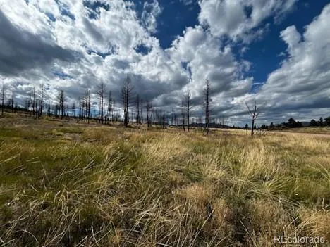 442 Forbes Park Road Fort Garland, CO 81133