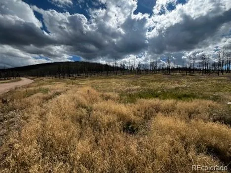 442 Forbes Park Road Fort Garland, CO 81133